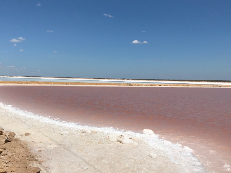 Charcas en las salinas en Manaure